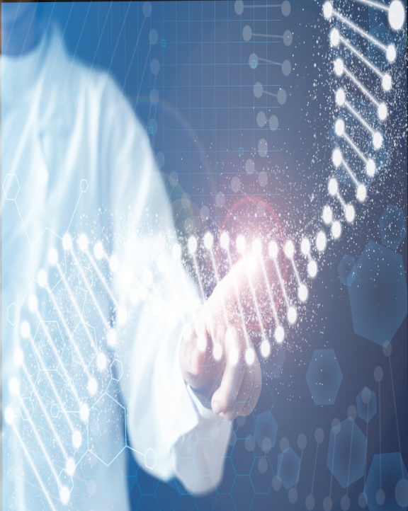 進口代理服務(wù)流程